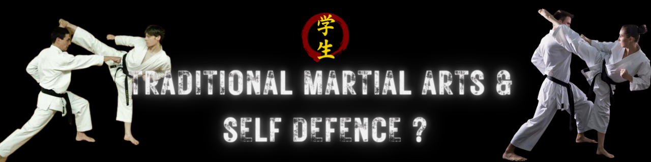 Do Tradtional Martial Arts Teach Self defence banner
