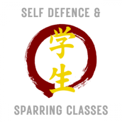 Self defence and sparring grey